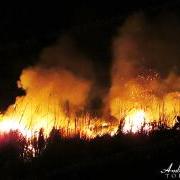 Brush Fire Threatened San Pablo Neighborhood