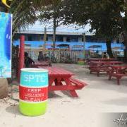 100 Eye-popping Trash Bins Distributed in San Pedro Town 100 Eye-popping Trash Bins Distributed in San Pedro Town