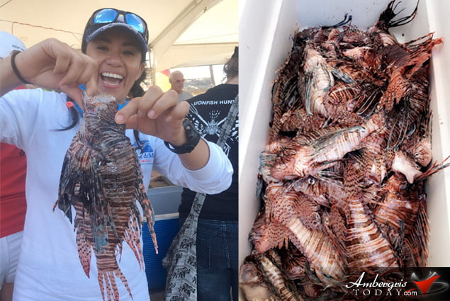 Amigos del Mar Takes Lionfish Tournament in Caye Caulker
