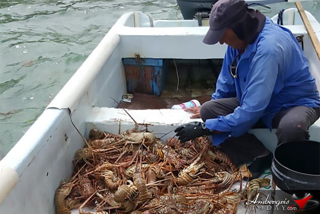  Lobster Season 2018 Officially Open