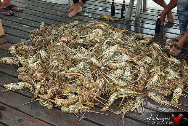  Lobster Season 2018 Officially Open