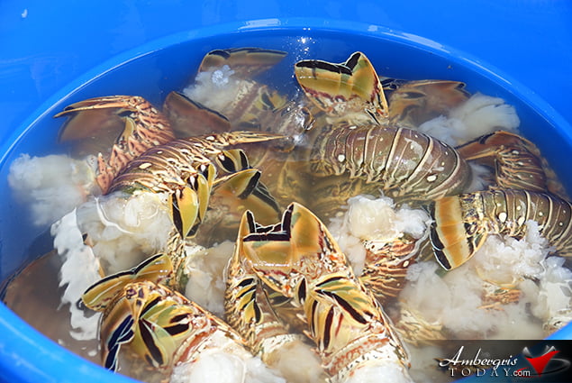  Lobster Season 2018 Officially Open