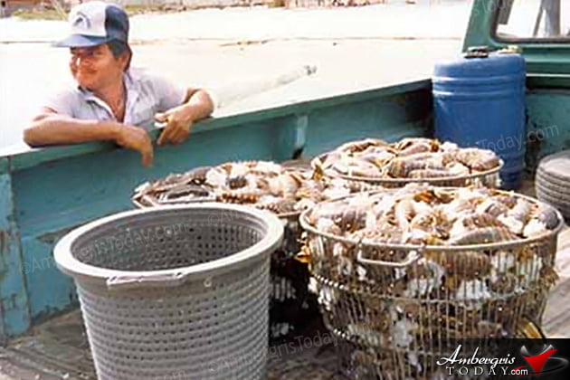 Where are the Lobsters?