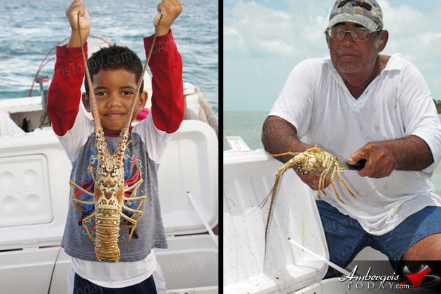 San Pedro, Ambergris Caye Belize Lobster Season -Lobster fishing 