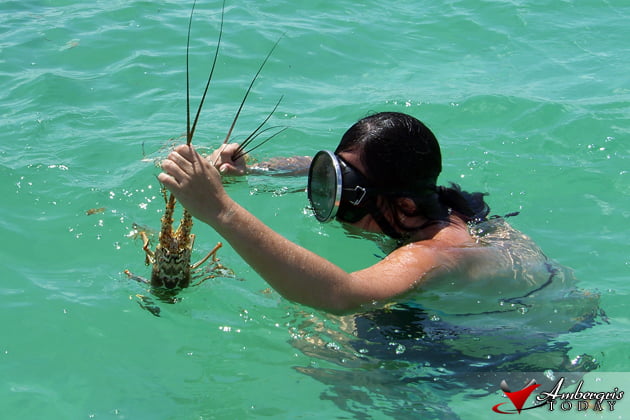 I'm Ready for Lobster Season! 1 Lobster Fishing