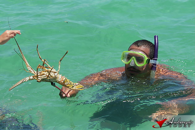 I'm Ready for Lobster Season! 6 Lobster Fishing