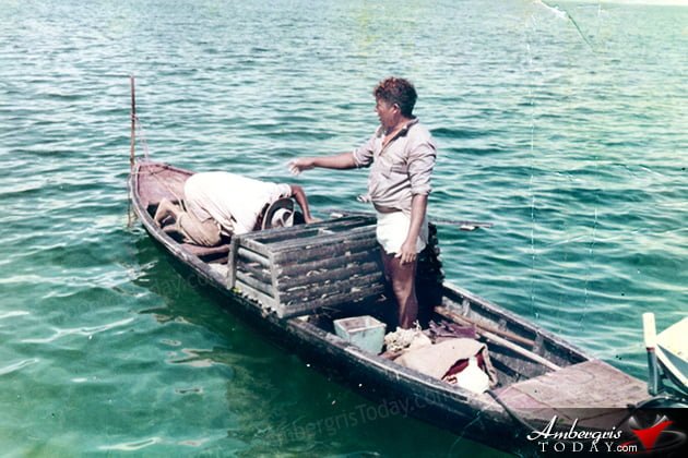 Where are the Lobsters?