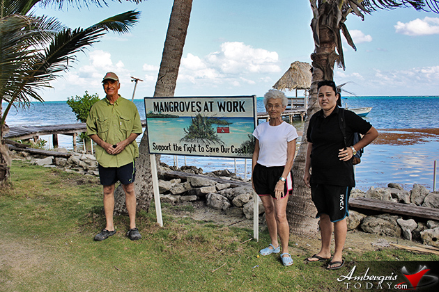 Resident Couple Sees Results of Mangrove Reforestation in Ambergris Caye