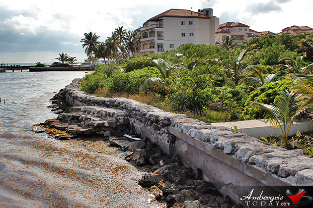 Resident Couple Sees Results of Mangrove Reforestation in Ambergris Caye