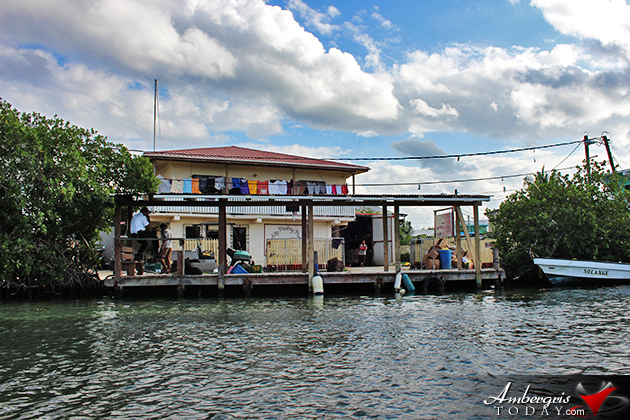 Resident Couple Sees Results of Mangrove Reforestation in Ambergris Caye