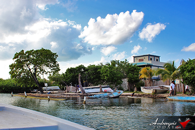 Resident Couple Sees Results of Mangrove Reforestation in Ambergris Caye