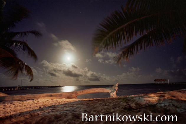 Mary Bartnikowski Photography