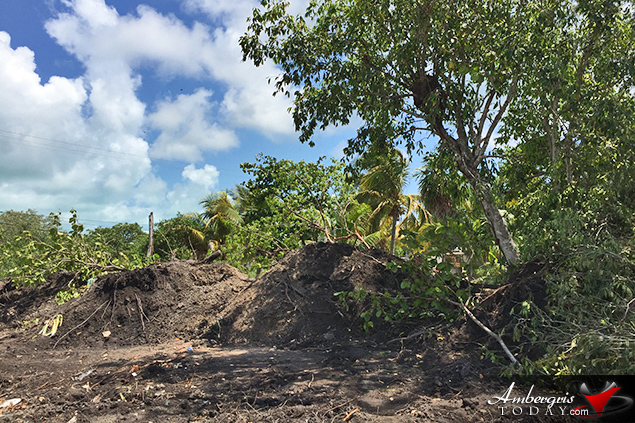 San Pablo Property Identified with Maya Mound Leveled by Developers