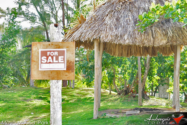 San Pablo Property Identified with Maya Mound Leveled by Developers