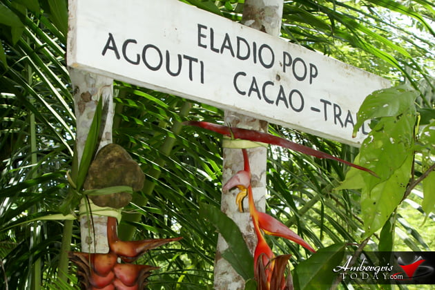 My Lunch with a Humble Maya Family 1 My Lunch with a Humble Maya Family