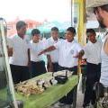 Reef Week 2014 Celebrated in San Pedro