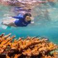 Actress Kate Walsh Enjoying the vibrant Coral on Belize's Reef! photo by Tony Rath Kate Walsh Visits Belize