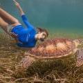 Actress Kate Walsh swims with Turtle as it grazes the sea grass plains of Belize's beautiful sea! photo by Tony Rath Kate Walsh Visits Belize