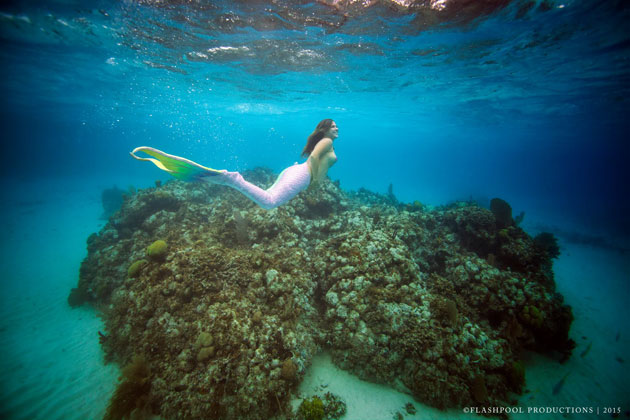 Mermaids Visit Hol Chan Marine Reserve