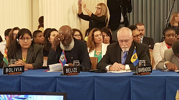 First Belizean Takes Up Assistant Secretary General Post at OAS