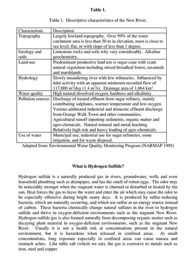 Stagnation of the New River: What is Being Done and the Prospect for Improvement