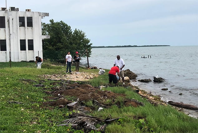 Oceana Belize National Coastal and Riverways Cleanup 3 Oceana Belize National Coastal and Riverways Cleanup