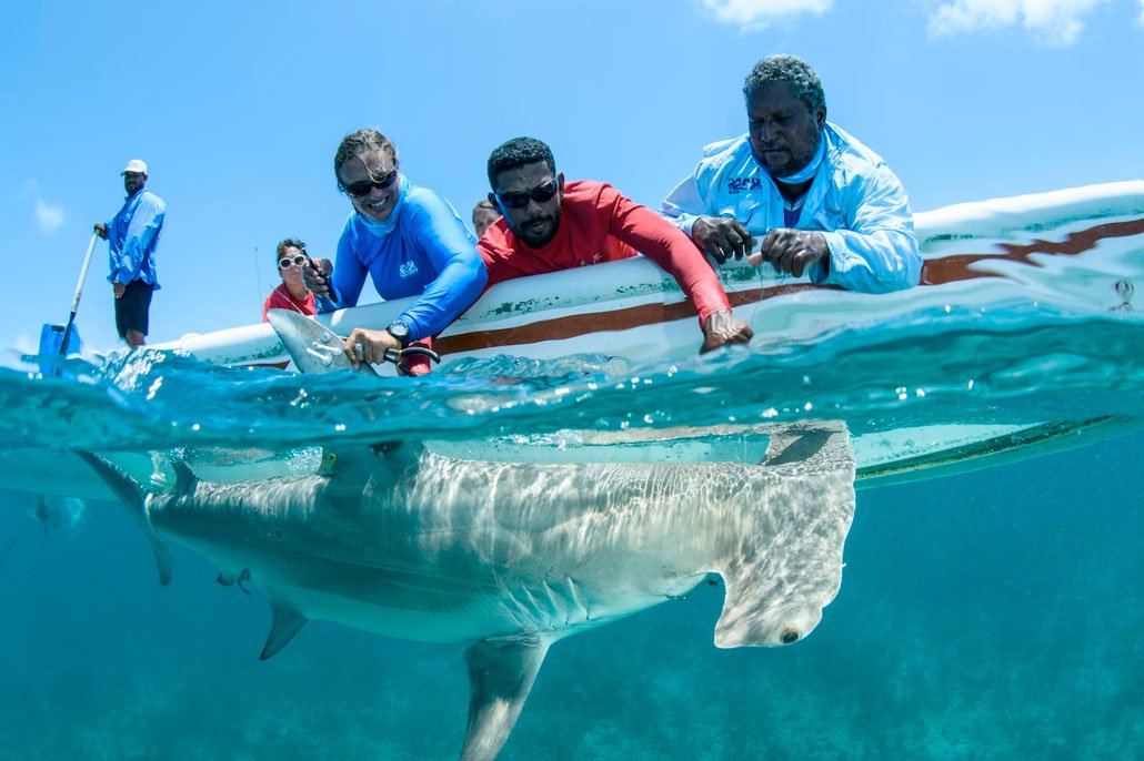 Dr. Rachel Graham and Dr. Leandra Cho-Ricketts celebrated as champions of the sea 