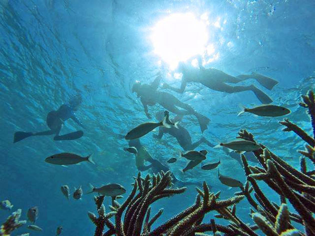 Belize Highlights Importance of Barrier Reef During Reef Week 2015