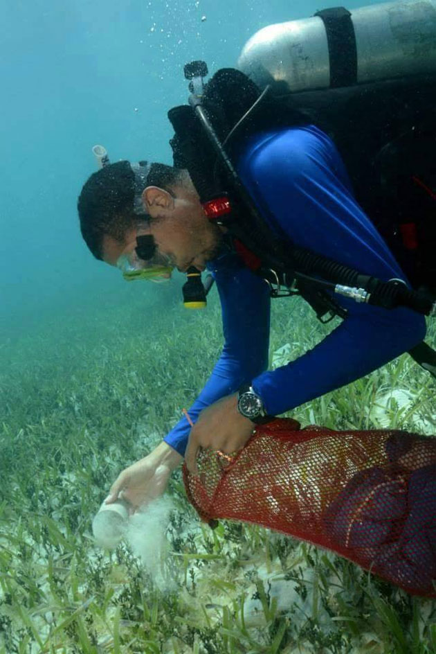 Belize Highlights Importance of Barrier Reef During Reef Week 2015