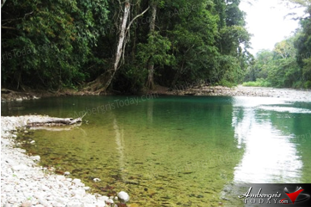 PACT Awards Over $800,000 In Project Grants! PACT Awards Over $800,000 In Project Grants!