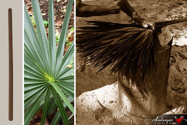Making Your Own Homemade Palmetto Broom Making Your Own Homemade Palmetto Broom
