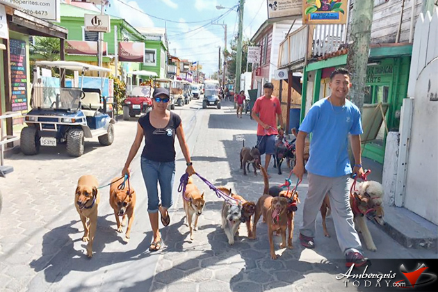 San Pedro Dog Whisperer Heads to California and Utah for Advance Training