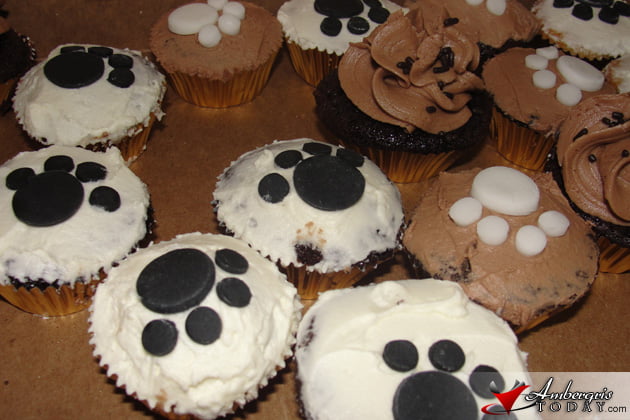 Pampered Paws 10th Anniversary