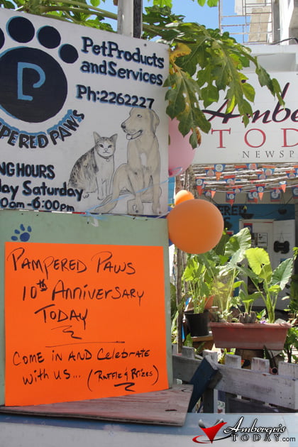 Pampered Paws 10th Anniversary