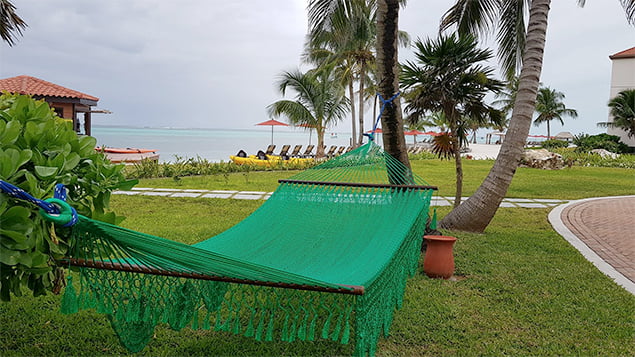 Cold in Belize Pic of the Week 