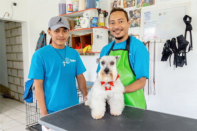 Pampered Paws Dog Grooming and Training Services