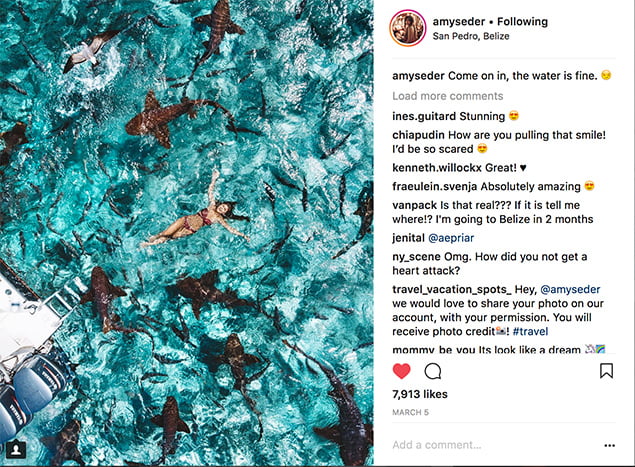 Come on in, The Water is Fine!, Shark Ray Alley, Hol Chan Marine Reserve, San Pedro, Ambergris Caye