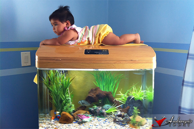 Baby Chelsea Alfaro Aquarium Plank