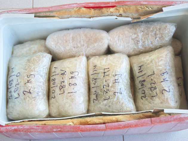 $2Mil US Worth of Crystal Meth Taken Off Belize Streets