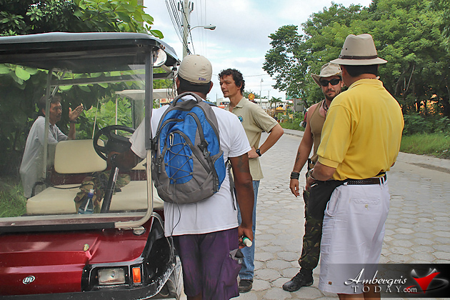 Hunt Continues for Wild Puma in San Pedro, Ambergris Caye