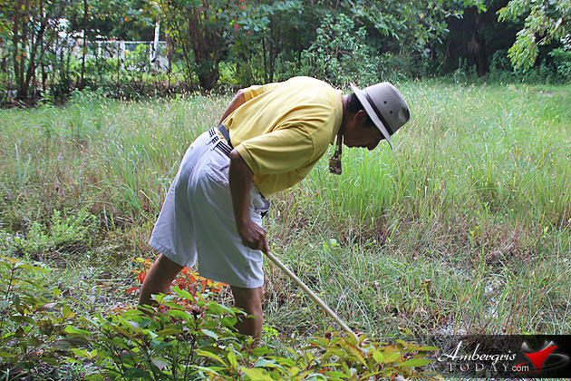 Hunt Continues for Wild Puma in San Pedro, Ambergris Caye