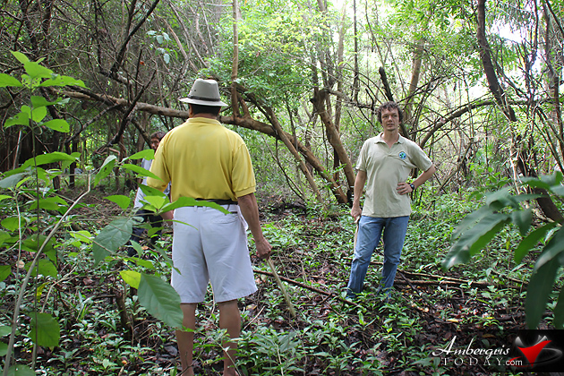 Hunt Continues for Wild Puma in San Pedro, Ambergris Caye