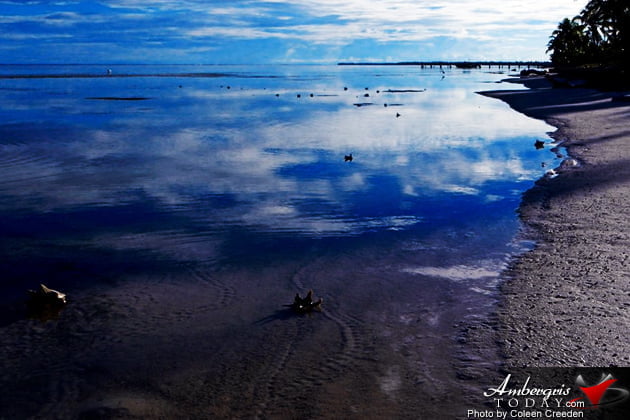 The Marvelous Barrier Reef of Belize