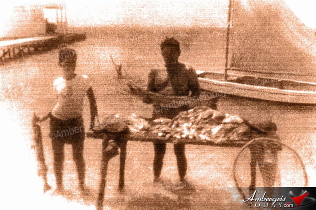 The Marvelous Barrier Reef of Belize