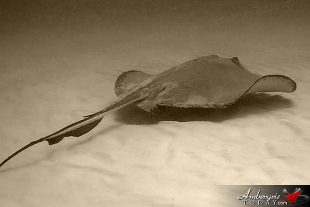 Fearless Men of the Sea in Ambergris Caye Part 3 -Ramon Nunez