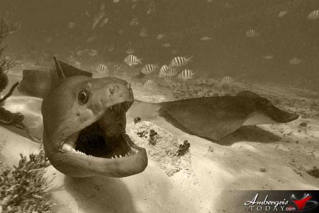 Fearless Men of the Sea in Ambergris Caye Part 3 -Ramon Nunez