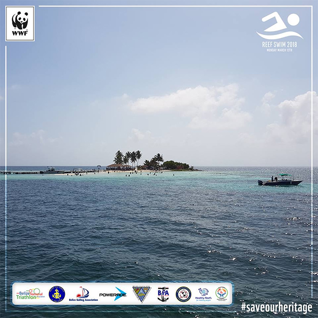 Reef Swim Champs from San Pedro