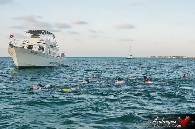 Early Morning Reef Swim Kicks off Reef Week on Ambergris Caye