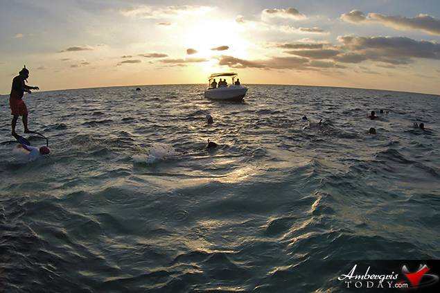 Early Morning Reef Swim Kicks off Reef Week on Ambergris Caye