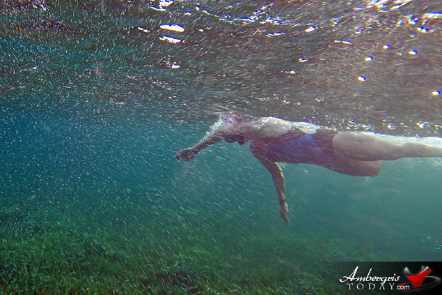 Early Morning Reef Swim Kicks off Reef Week on Ambergris Caye